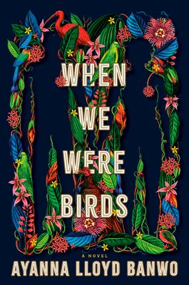 When We Were Birds book cover