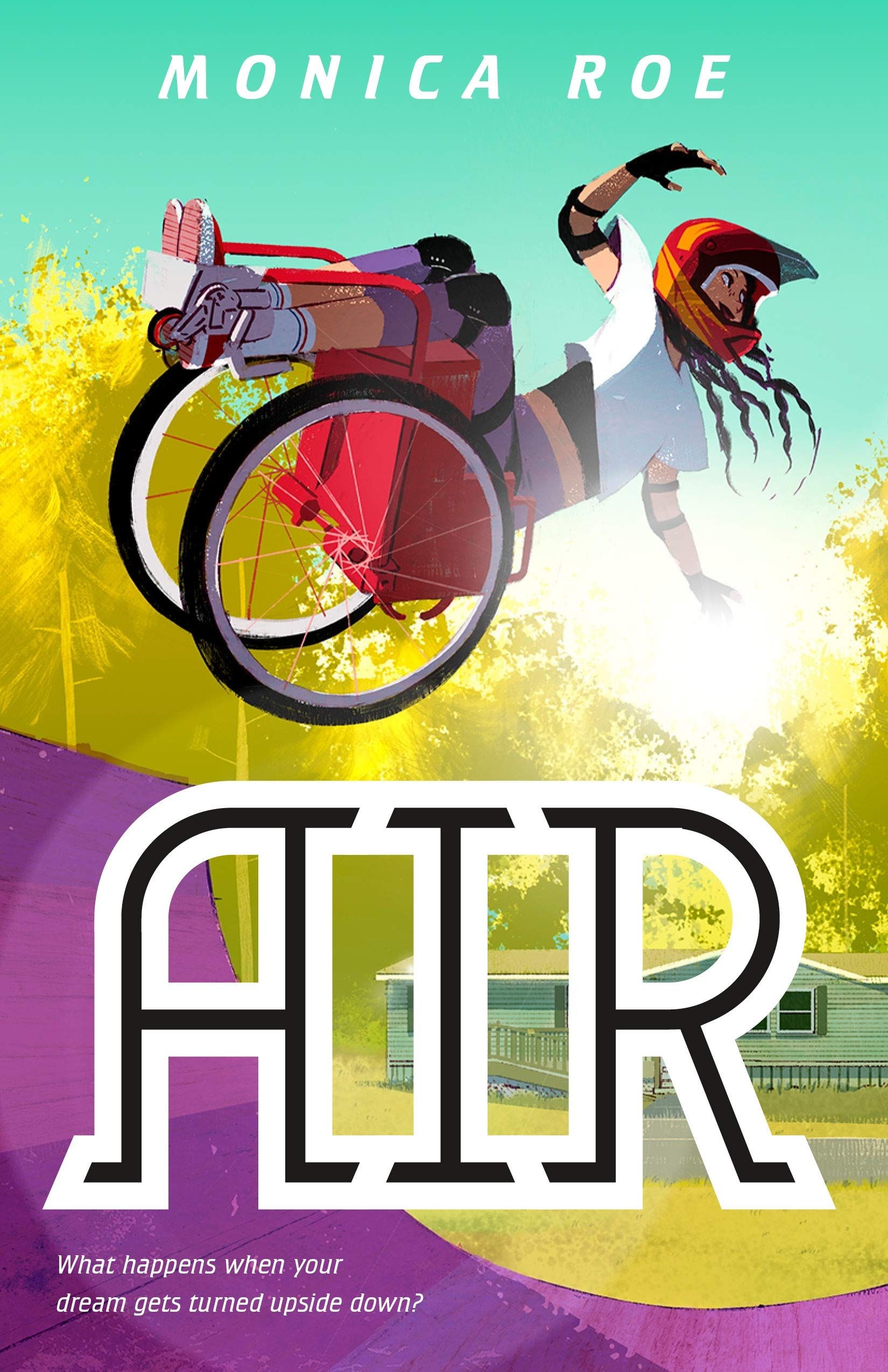 Cover of Air by Roe