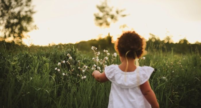 the back of a small child with brown skin picking flowers in a meadow
