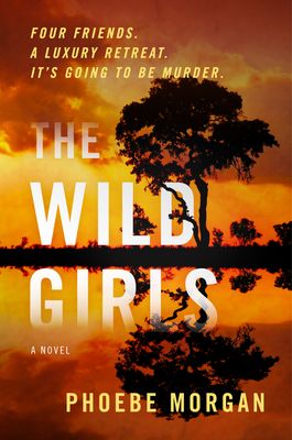 Wild Girls book cover