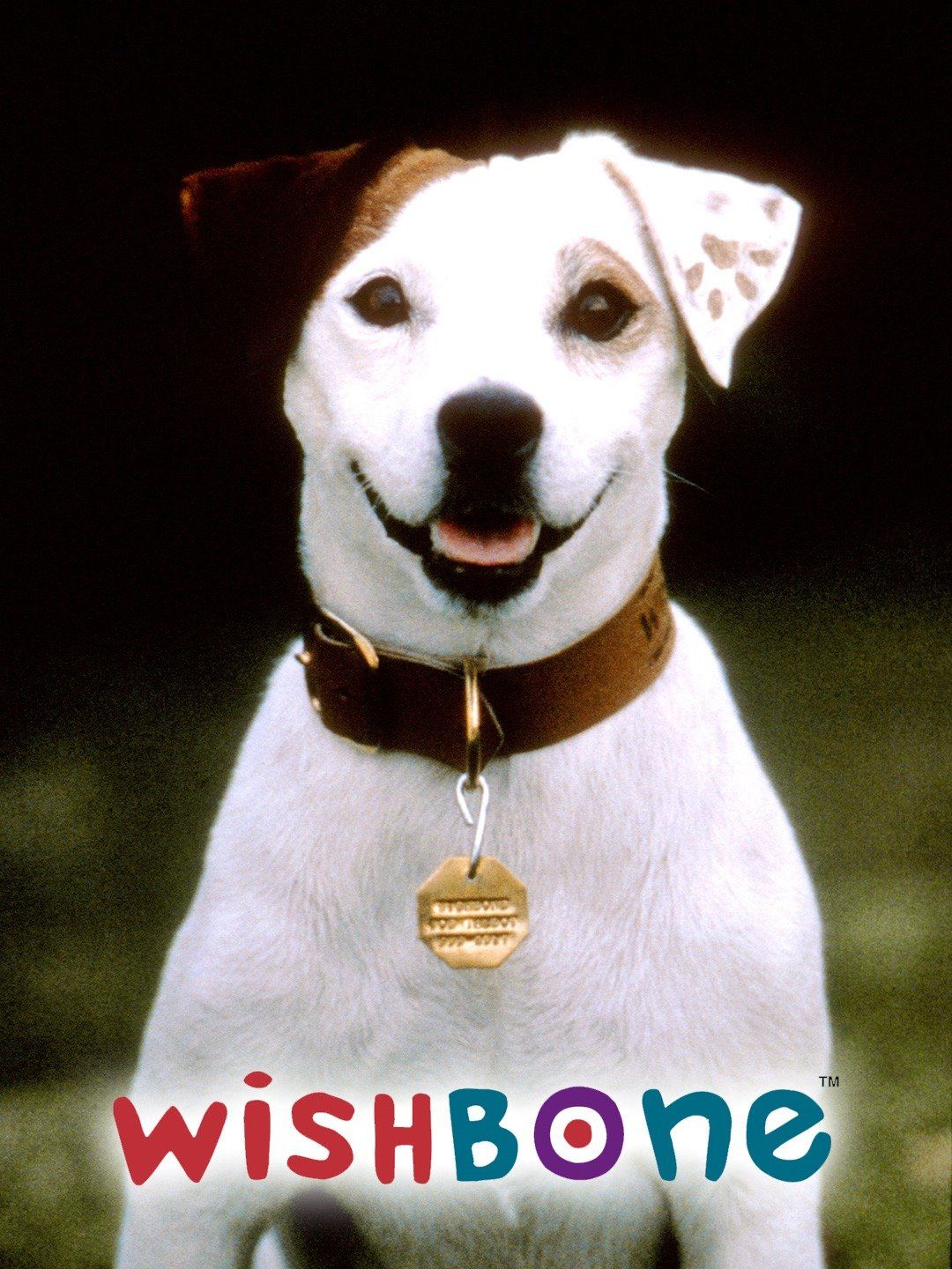 Promotional image for WISHBONE