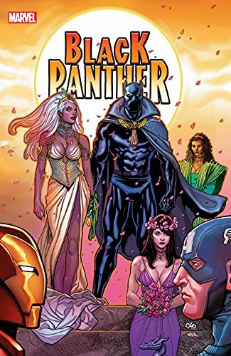 Bride of the Panther cover image