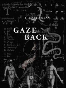 Cover of Gaze Back by Marylyn Tan