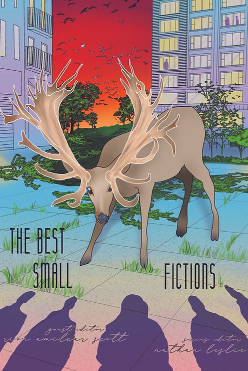 cover image of anthology of very short stories titled Best Small Fictions 2021