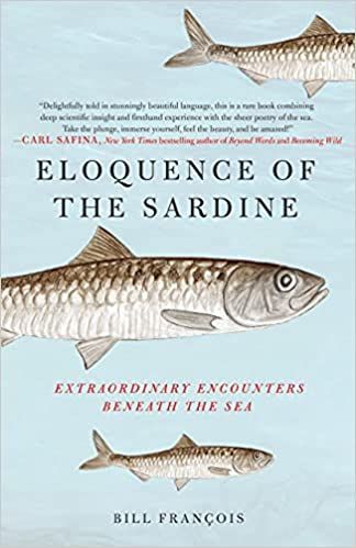 couverture de discours de sardine