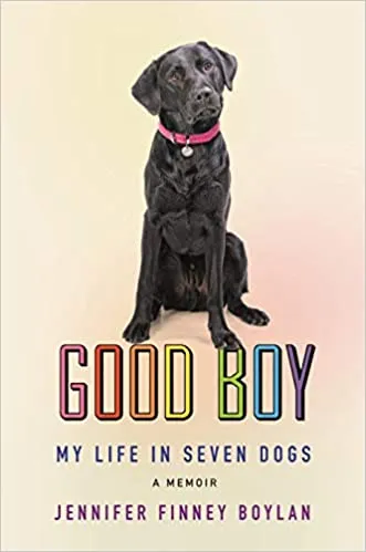 cover of good boy