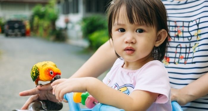 Image of a child with a brightly colored bird