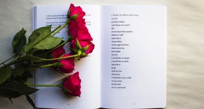 red roses on open book