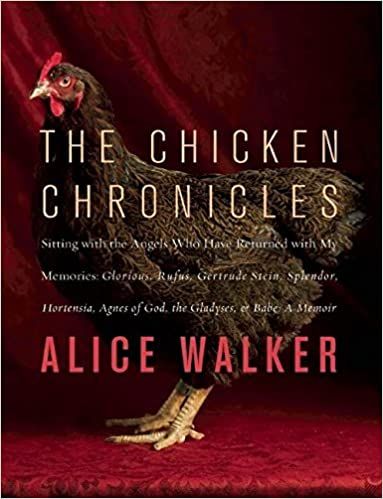 cover of the chicken chronicles