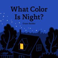 Book cover of What Color is Night?