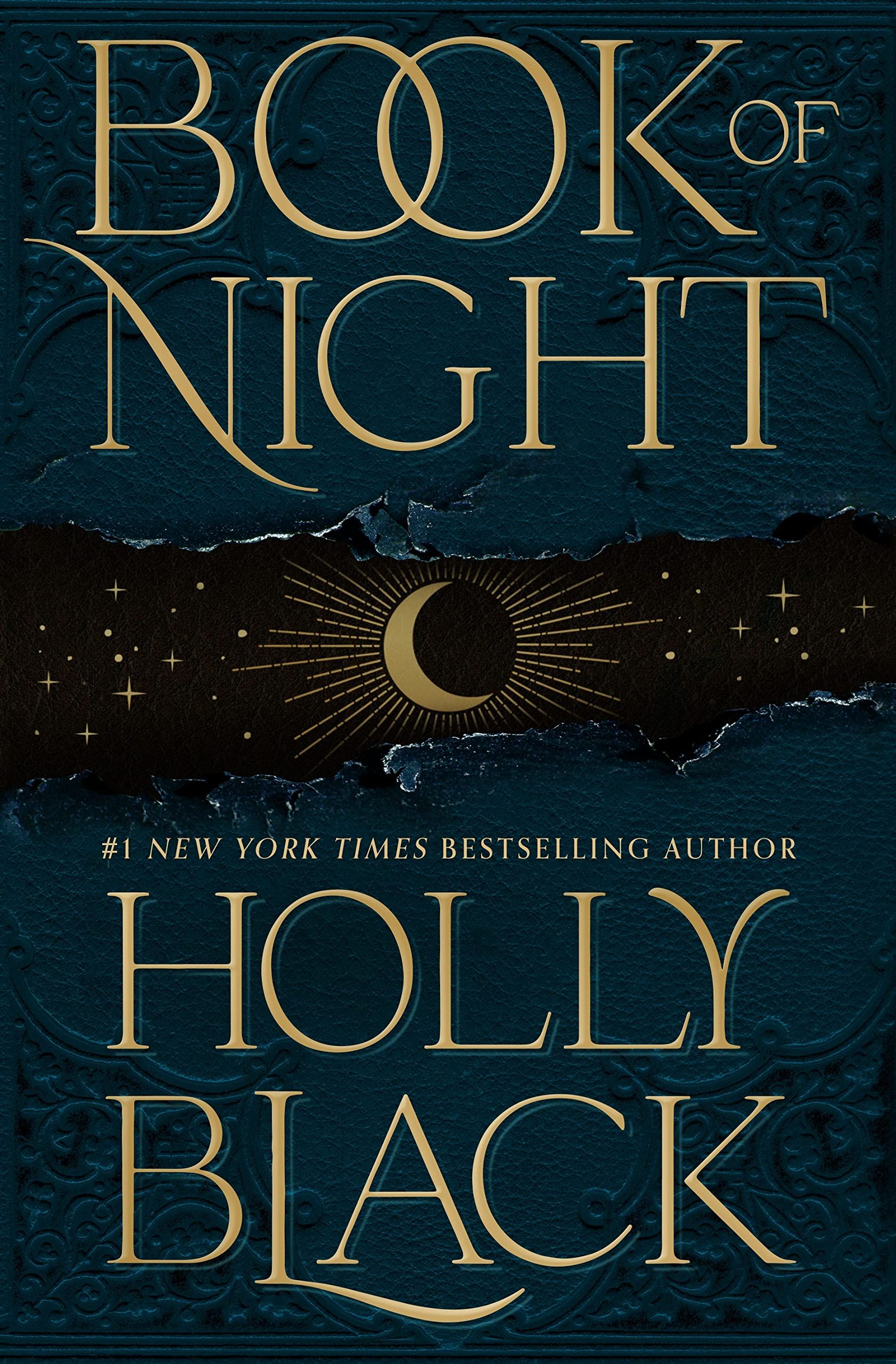Cover image of Book of Night by Holly Black.