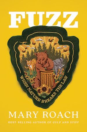 Fuzz cover
