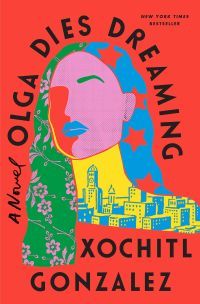 Olga Lies Dreaming by Xochitl Gonzalez - book cover - patchwork illustrated silhouette of a woman's face against a red background