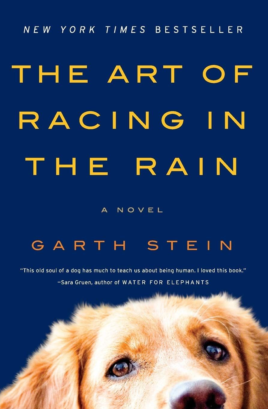 cover of The Art Of Racing In The Rain by Garth Stein 
