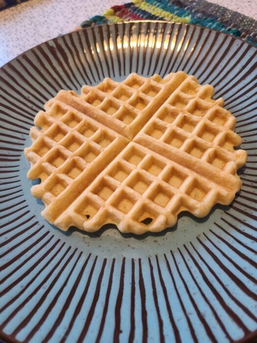 Image of waffle on blue plate
