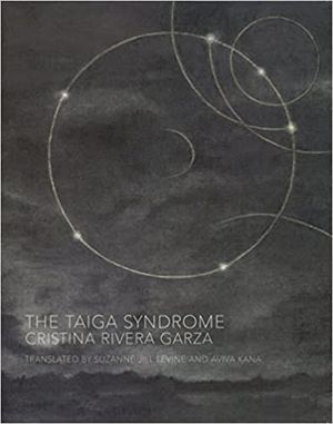 The Taiga Syndrome by Cristina Rivera Garza cover