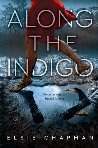 Along the Indigo cover