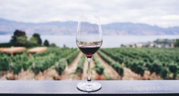 image of a wine glass overlooking a vineyard