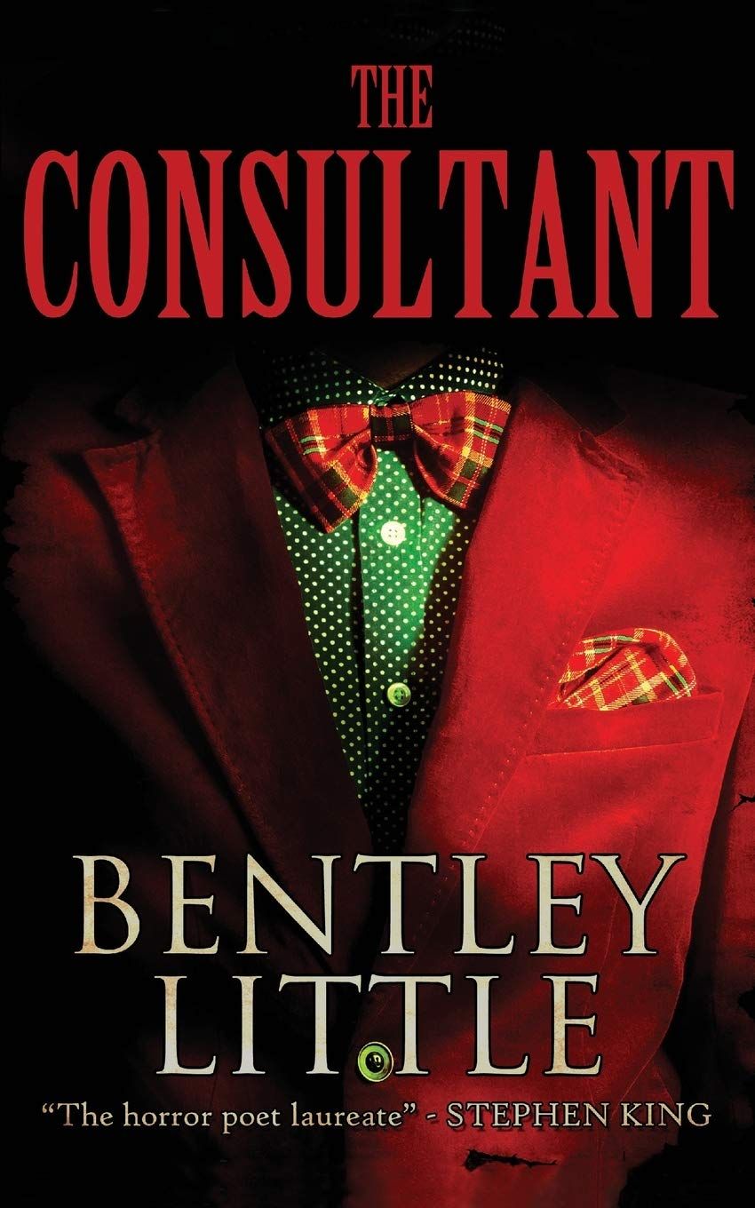 the consultant by bentley small book cover