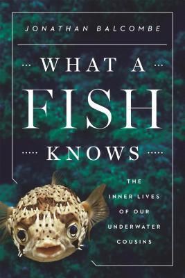 What a Fish Knows: The Inner Lives of Our Underwater Cousins by Jonathan Balcombe book cover