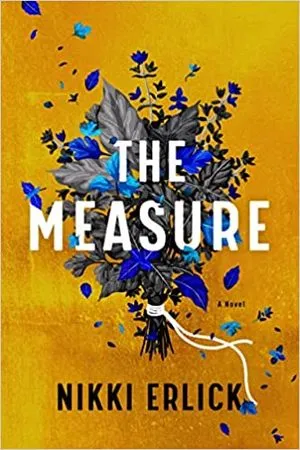 The Measure by Nikki Erlick