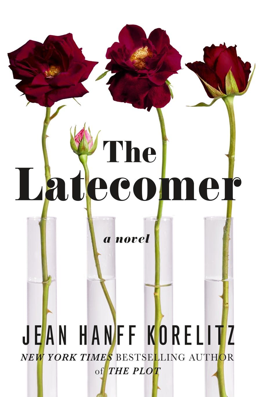 cover of ‘The Latecomer,’ by Jean Hanff Korelitz 