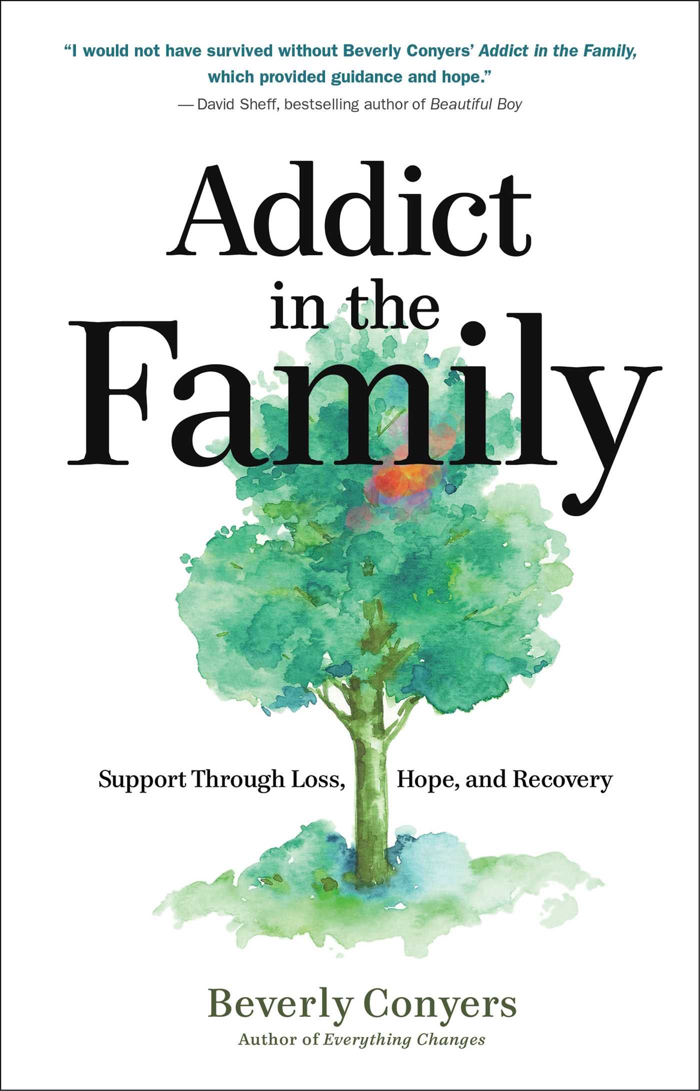 Cover of Addict in the Family