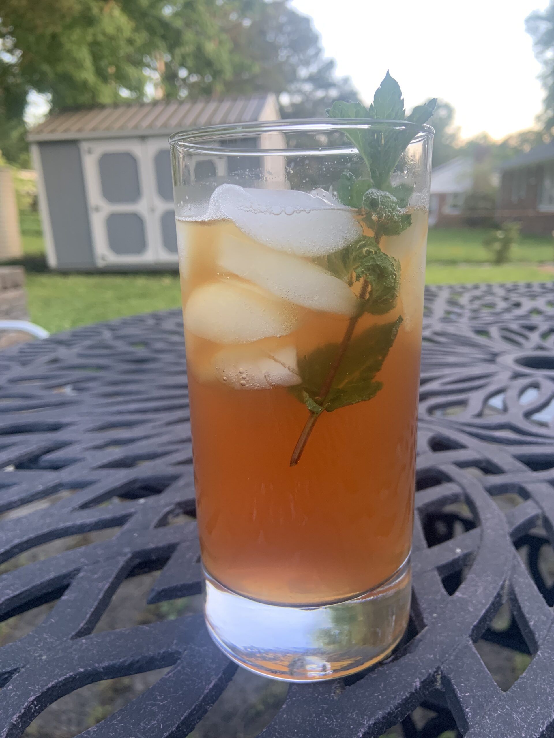 a photo of a glass of iced tea with a mint sprig