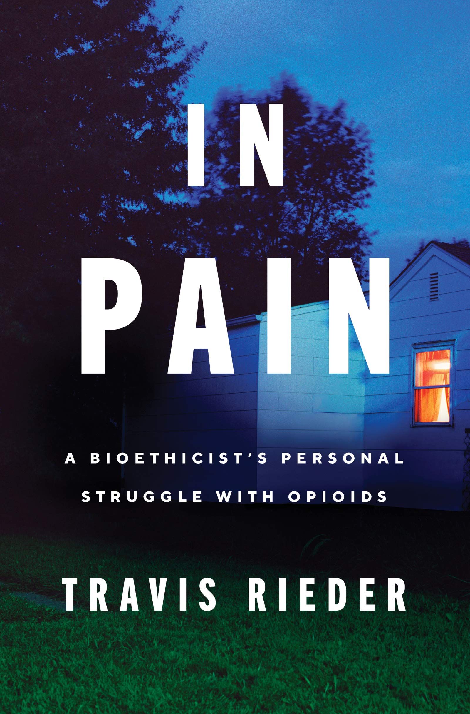 In Pain Book Cover