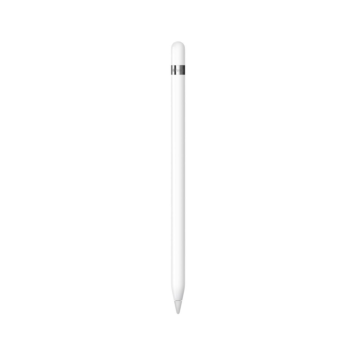 apple pencil as one of the  best gadgets for book lovers