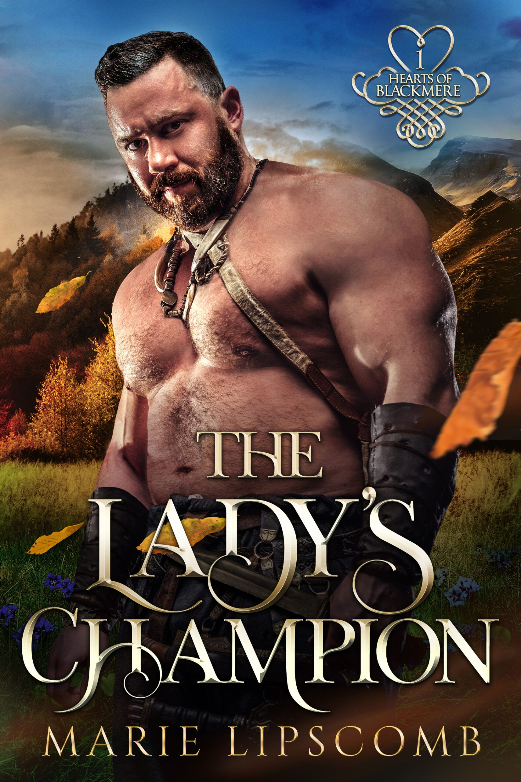 Book Cover for The Lady's Champion