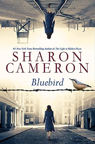 Bluebird cover