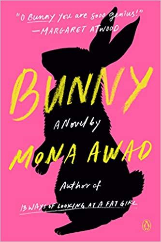 cover of bunny
