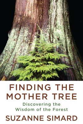 Finding the Mother Tree by Simard cover