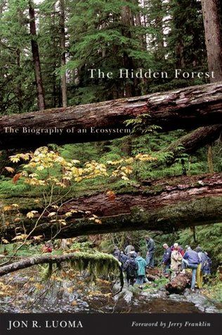 The Hidden Forest book cover