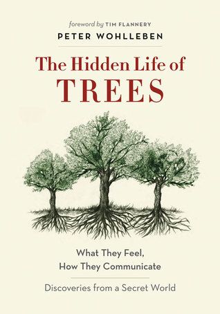 11 Amazing Books About Trees - 47