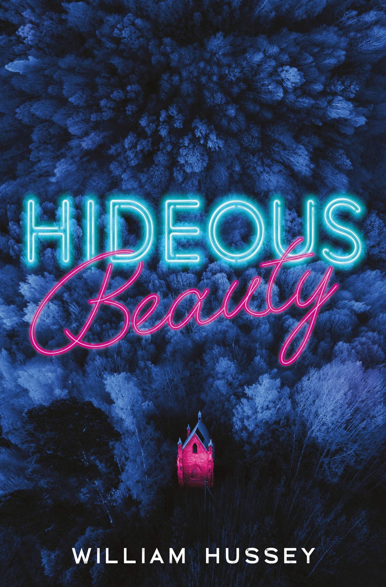 Hideous Beauty cover