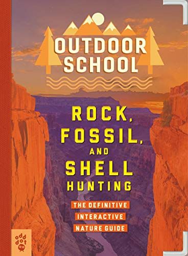 cover of Outdoor School Rock, Fossil, Shell Hunting
