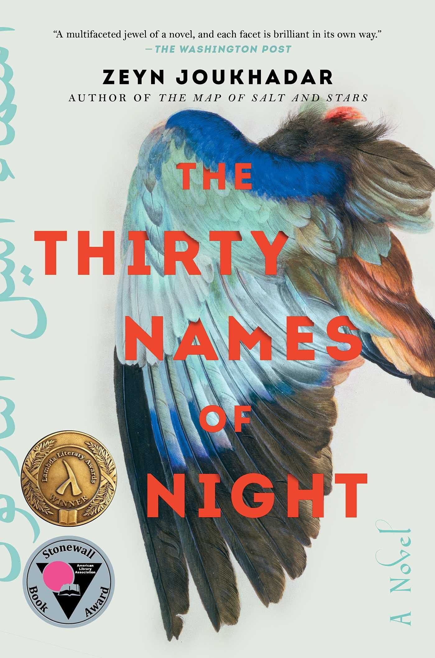 Book cover for The Thirty Names of Night