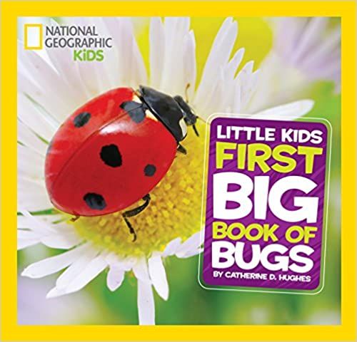 Go Wild With These 9 Bug Books for Preschool Readers - 90