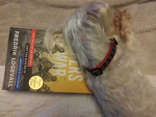 Author photo of a Maltese napping with her head on a copy of Embers of War