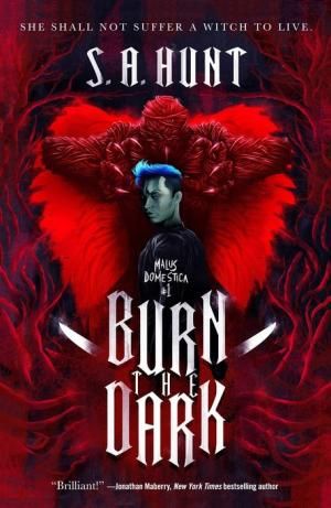 Burn The Dark by S.A. Hunt Book Cover