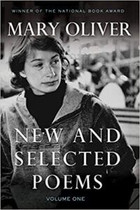 the cover of New and Selected Poems, Vol 1