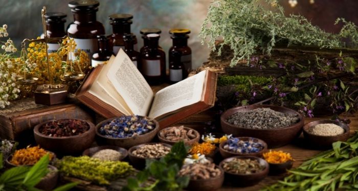 alchemy setting with plants, books, and options