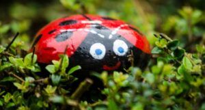 a pebble painted to look like a smiling ladybug