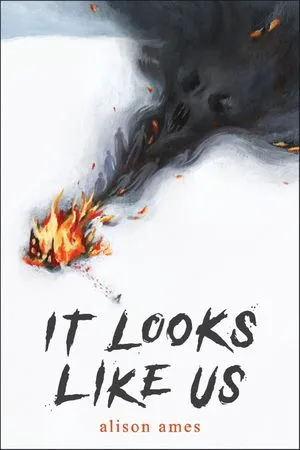 it looks like us book cover