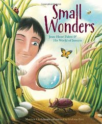 Small Wonders by Matthew Clark Smith cover