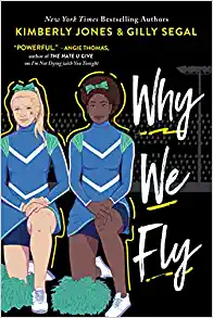 why we fly book cover