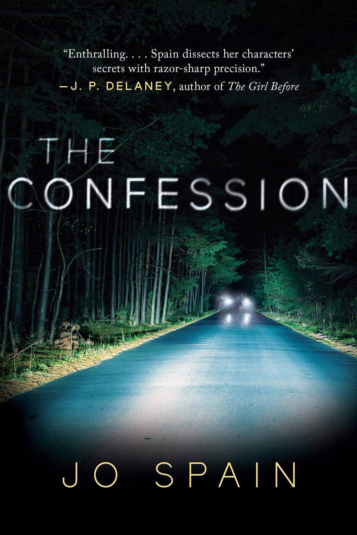 The Confession: A Novel book cover