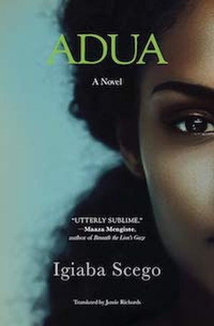 A graphic of the cover of Adua by Igiaba Scego